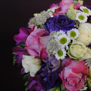  - Flor MeisterbetriebDSC_1097